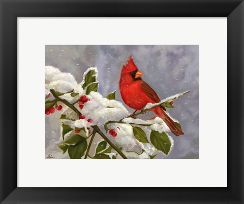 Framed Cardinal Print