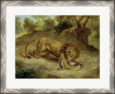 Framed Lion and Cayman, 1855 Print