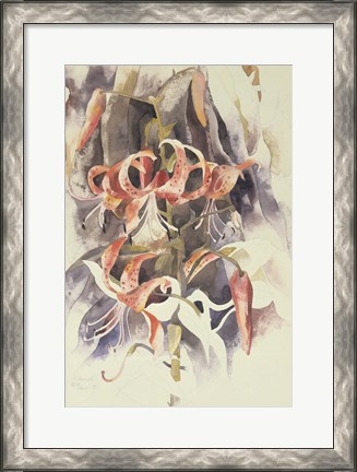 Framed Tiger Lilies Print
