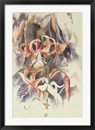 Framed Tiger Lilies Print