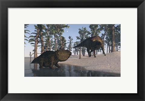 Framed Udanoceratops and Shuangmiaosaurus Print