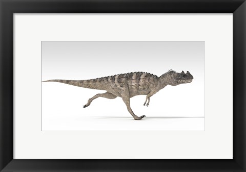 Framed Ceratosaurus Dinosaur Print