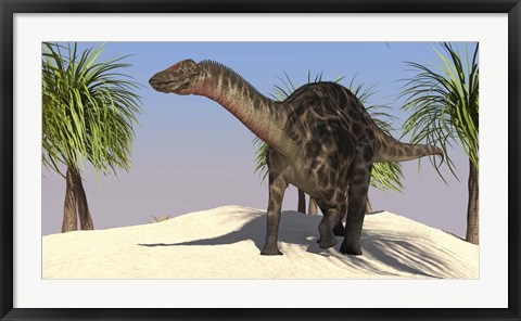 Framed Large Dicraeosaurus Print