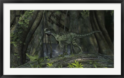 Framed Monolophosaurus in Woodlands Print