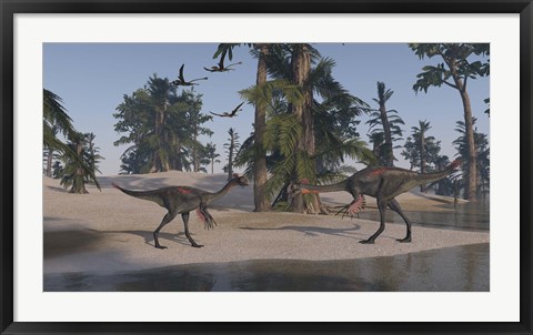 Framed Two Gigantoraptors Print