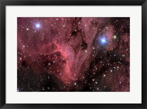 Framed Pelican Nebula Print