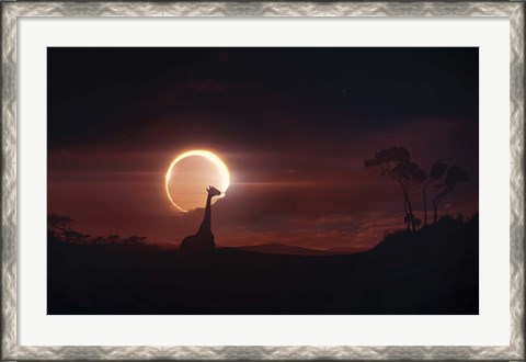 Framed Solar Eclipse over Africa Print