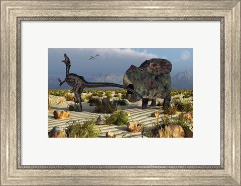 Framed Protoceratops Biting a Velociraptor Print