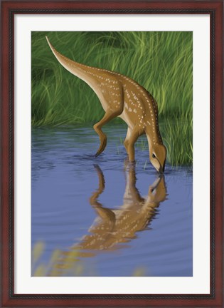 Framed Hypsilophodon Print