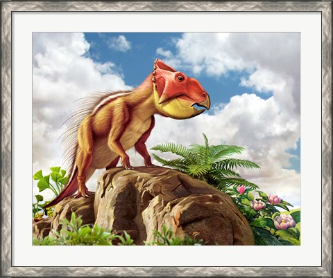Framed Leptoceratops Print