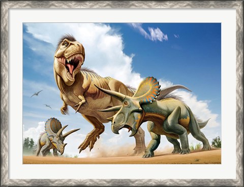 Framed Tyrannosaurus Rex Fighting aTriceratops Print