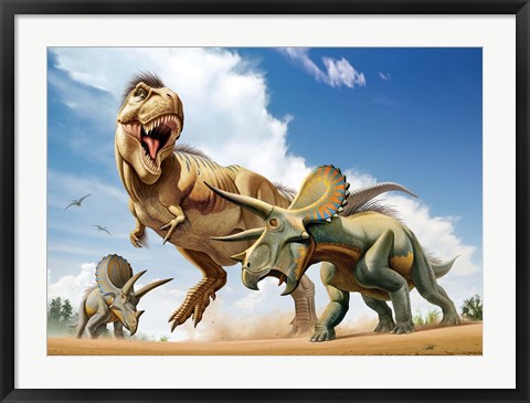 Framed Tyrannosaurus Rex Fighting aTriceratops Print