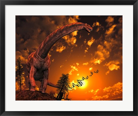 Framed Argentinosaurus Print