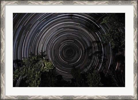 Framed Southern Sky Star Trails Print