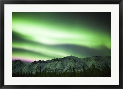 Framed Bright Aurora Borealis over Annie Lake Print