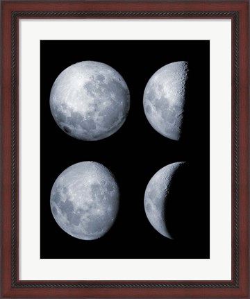 Framed Four Phases of the Moon Print