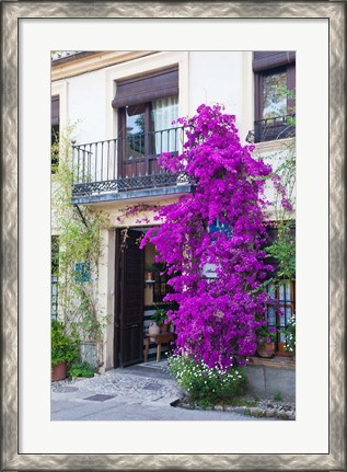 Framed Spain, Granada The entrance of Hotel America Print