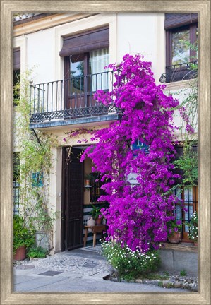 Framed Spain, Granada The entrance of Hotel America Print