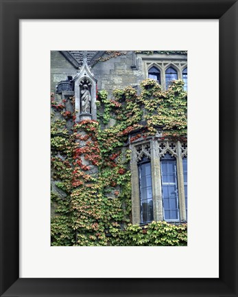 Framed Halls of Ivy, Oxford University, England Print