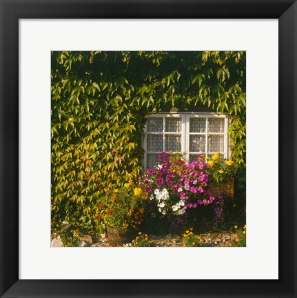 Framed Cottage, Devon, England Print