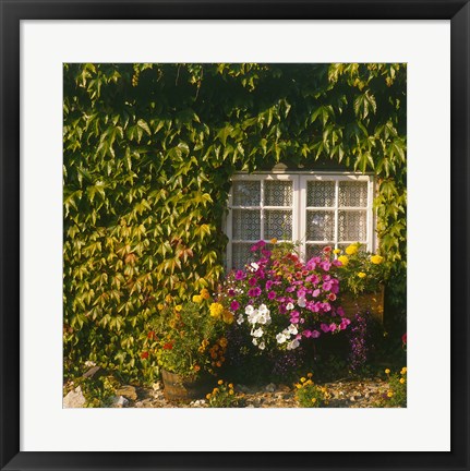 Framed Cottage, Devon, England Print