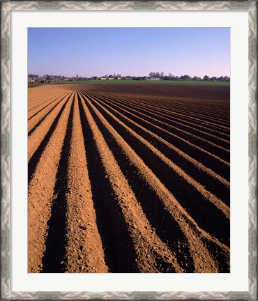 Framed Ploughed Field, Surrey, England Print