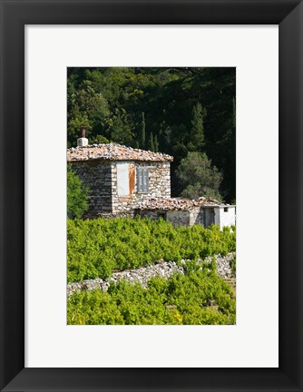 Framed Vineyard, Vourliotes, Samos, Aegean Islands, Greece Print