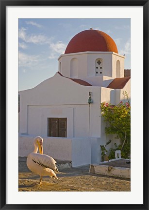 Framed White Pelican Preening, Hora, Mykonos, Greece Print