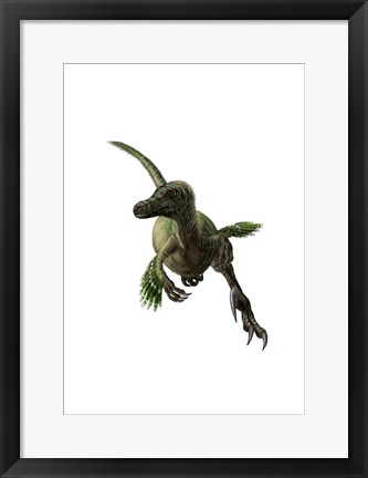 Framed Velociraptor, White Background Print