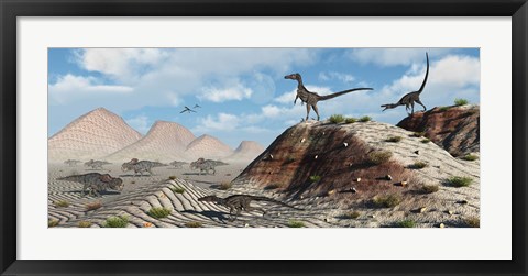 Framed Velociraptors Stalking a Herd of Protoceratops Print