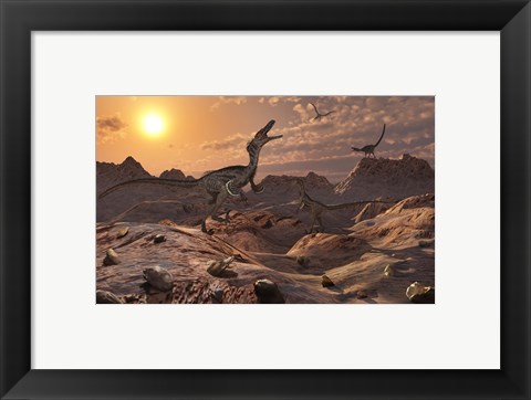 Framed Pack of Carnivorous Velociraptors from the Cretaceous Period Print