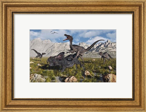 Framed Pack of Velociraptors Print