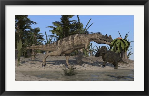 Framed Ceratosaurus Hunting down a Triceratops Print