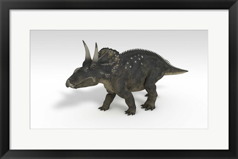 Framed Triceratops Dinosaur 3 Print