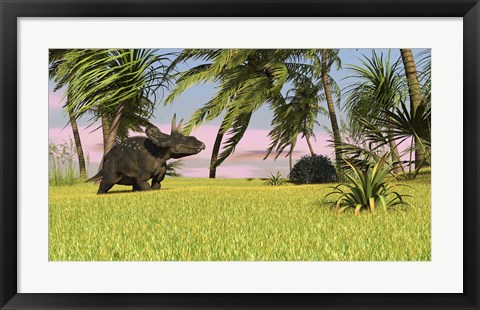 Framed Triceratops Dinosaur 9 Print