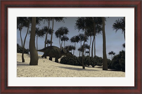 Framed Triceratops in a Prehistoric Environment Print