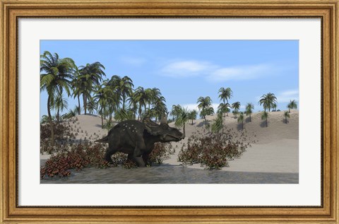 Framed Triceratops Walking along the Shoreline 1 Print