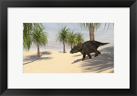 Framed Triceratops Walking in a Tropical Environment 2 Print
