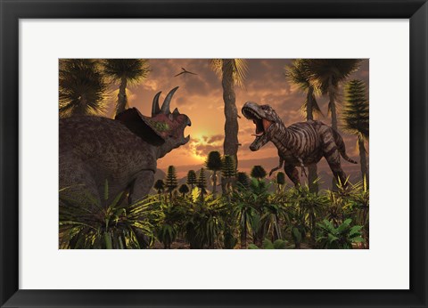Framed T- Rex and Triceratops meet for a Battle 1 Print