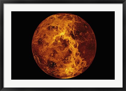 Framed Venus I Print