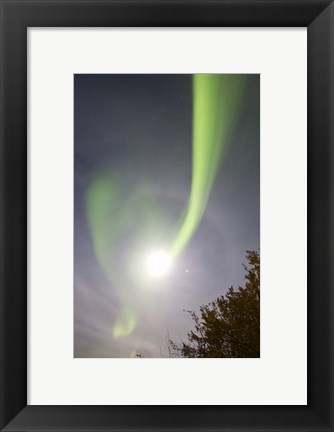 Framed Aurora Borealis and Venus by Lake Laberge, Yukon, Canada Print