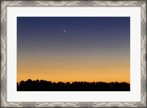 Framed Comet Panstarrs III Print