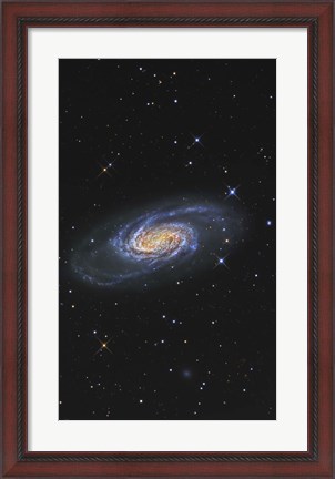 Framed NGC 2903 is a barred spiral galaxy in the Constellation of Leo Print