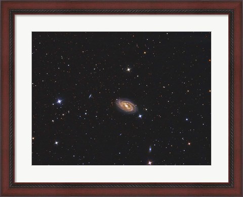 Framed Messier 109, a barred spiral galaxy in the Constellation Ursa Major Print