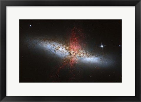 Framed Messier 82, a starburst galaxy in the Constellation Ursa Major Print
