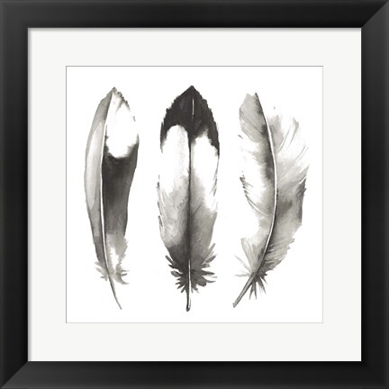 Framed Watercolor Feathers II Print