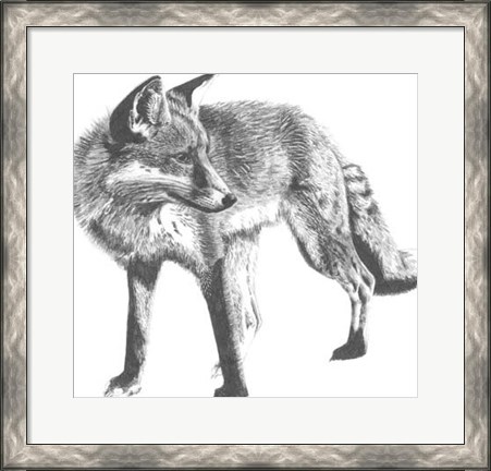 Framed Wildlife Snapshot: Fox Print