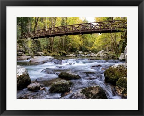 Framed On the Rocks Print