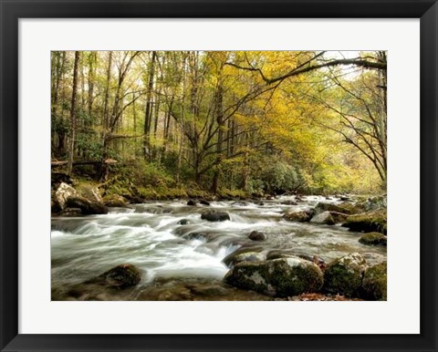 Framed Creekside Print