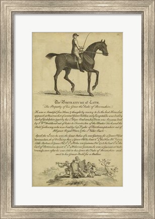 Framed Horse Portraiture III Print
